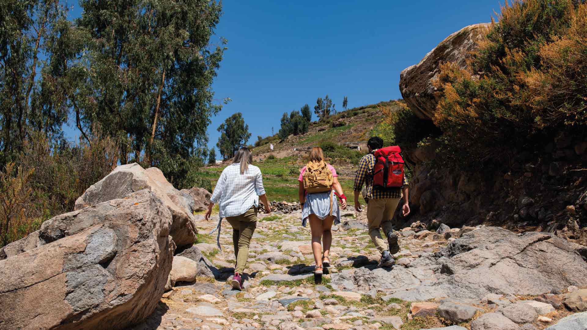 Lujo en Cusco: Experiencias Imperdibles, Aventura y trekking en el famoso Camino Inca hacia Machu Picchu