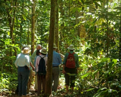 Aventura en la Amazonía, explorando la selva tropical y su increíble biodiversidad.