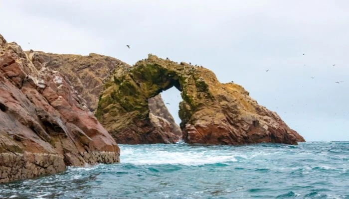 Islas Ballestas en Paracas, Perú, un santuario de vida silvestre con colonias de lobos marinos, pingüinos de Humboldt y diversas aves marinas, accesible en tour en bote.