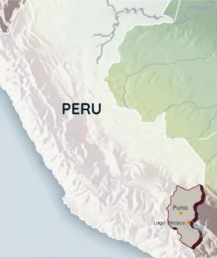 Mapa Puno