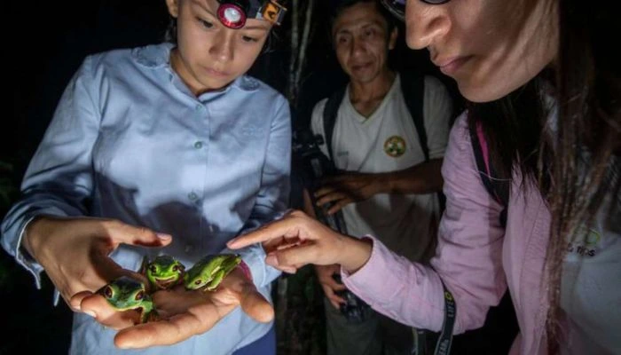 Excursión nocturna en la selva amazónica, explorando la vida silvestre bajo la luz de la luna.