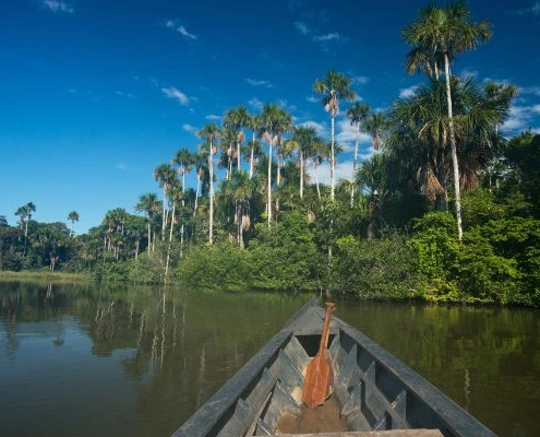 Vista panorámica del Lago Sandoval, rodeado de exuberante vegetación en la Amazonía peruana.