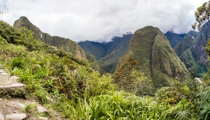 Machu Picchu Montaña