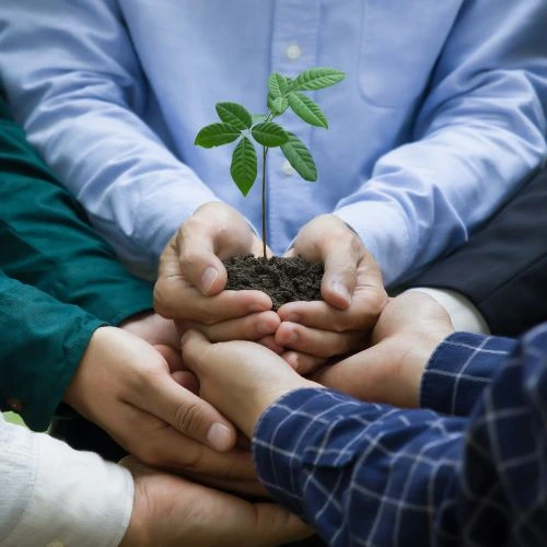 Turismo Sostenible y Conservación Ambiental