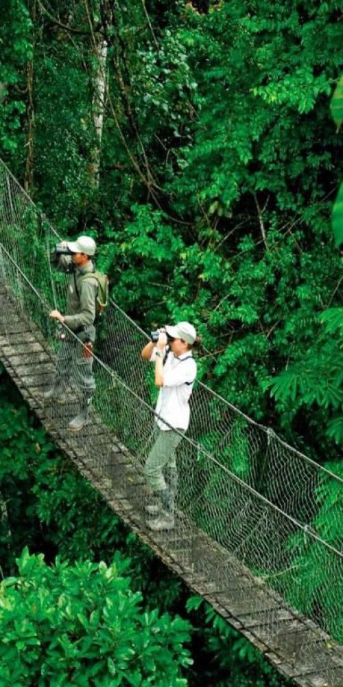 TAMBOPATA-MADRE-DE-DIOS