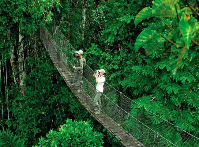 TAMBOPATA-MADRE-DE-DIOS